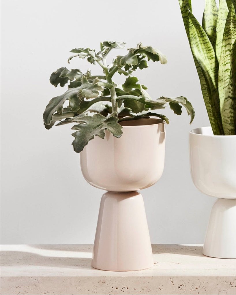 Nappula Plant Pot Short, Beige - pirkko. iittala